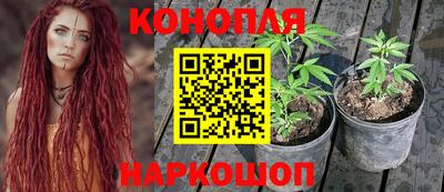 спиды Краснознаменск