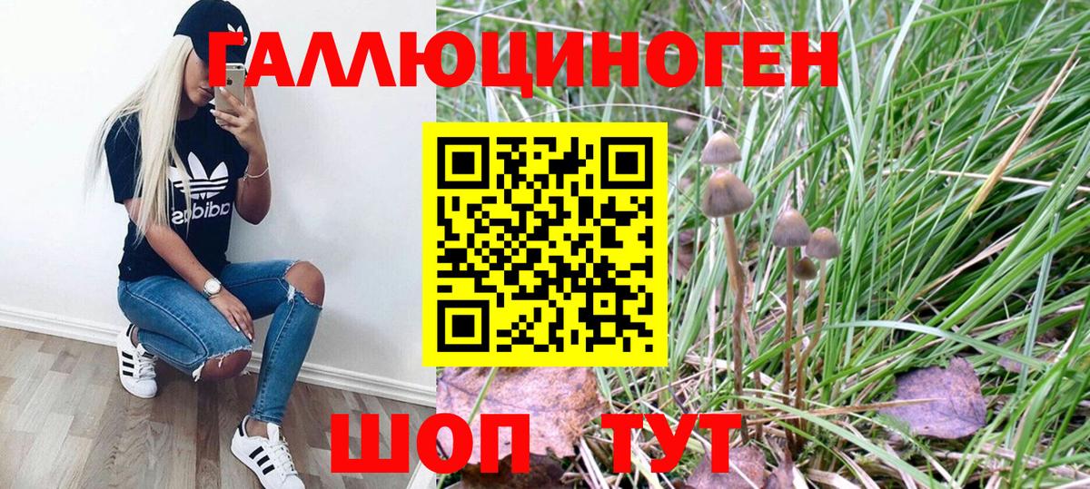 Псилоцибиновые грибы мухоморы  Вход с VPN  Псилоцибиновые грибы Psilocybe  Южно-Сахалинск 